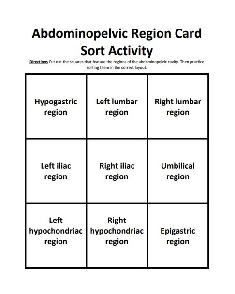 Abdominopelvic Region Card Sort Activity