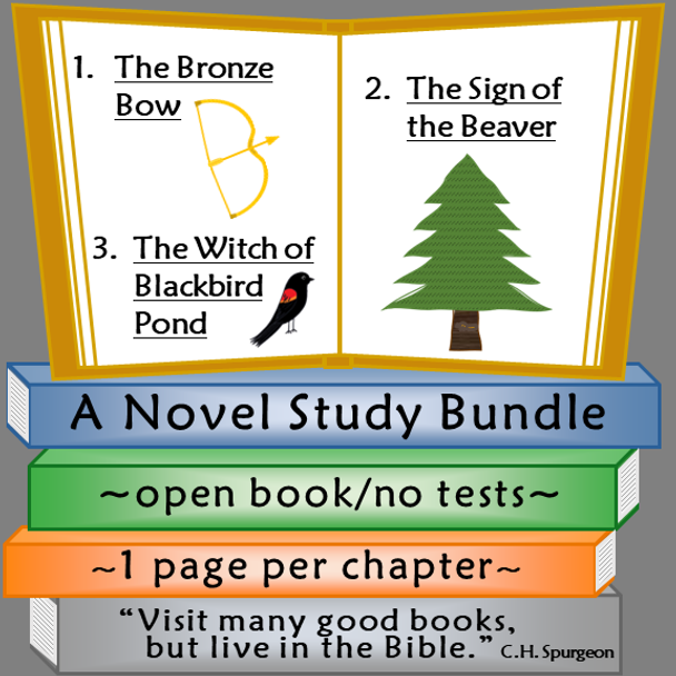 Elizabeth George Speare Novel Studies Bundle