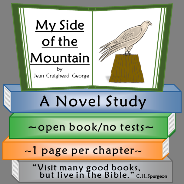 My Side of the Mountain  Novel Study 