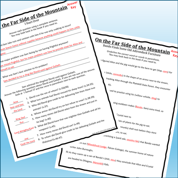On the Far Side of the Mountain Novel Study