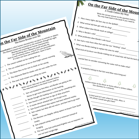 On the Far Side of the Mountain Novel Study