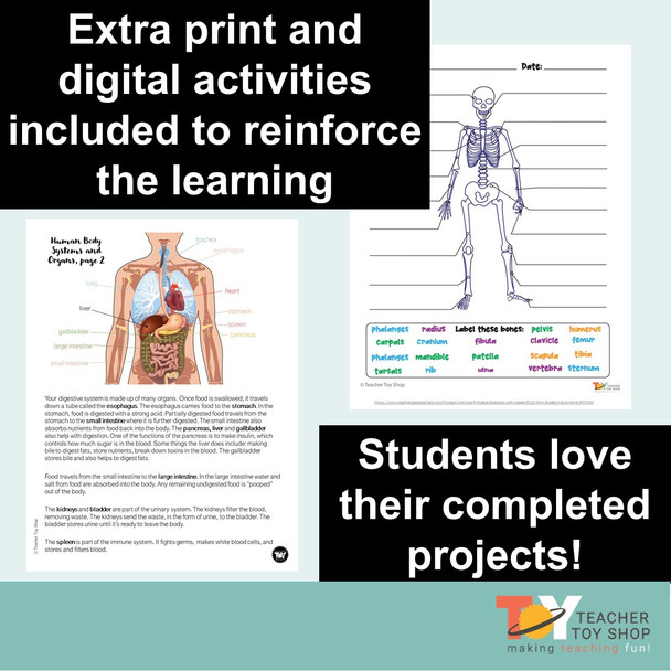 Human Body Systems Projects Bundle | STEM Activities
