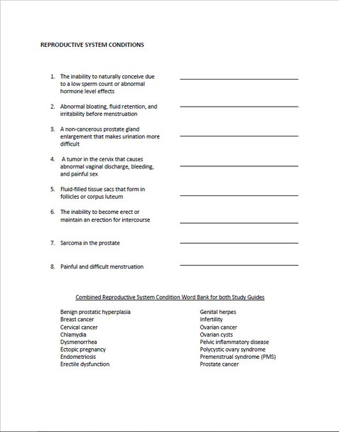 Female Reproductive System Study Guide