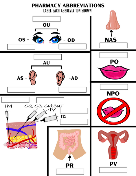 Routes of Administration and Abbreviations Worksheet