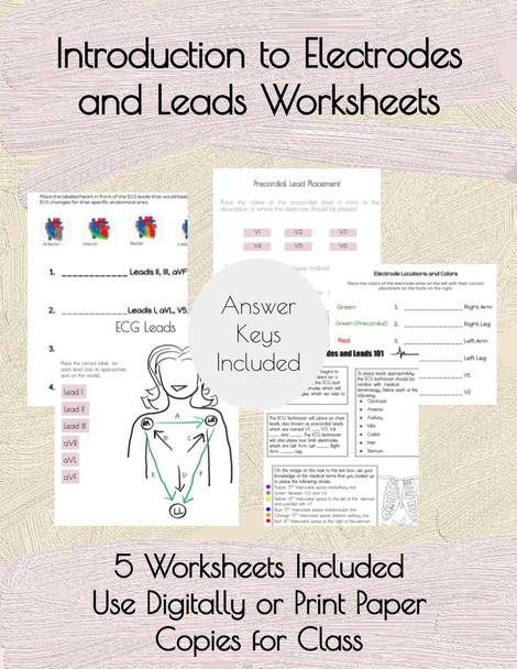 Introduction to Electrodes and Leads ECG Worksheets