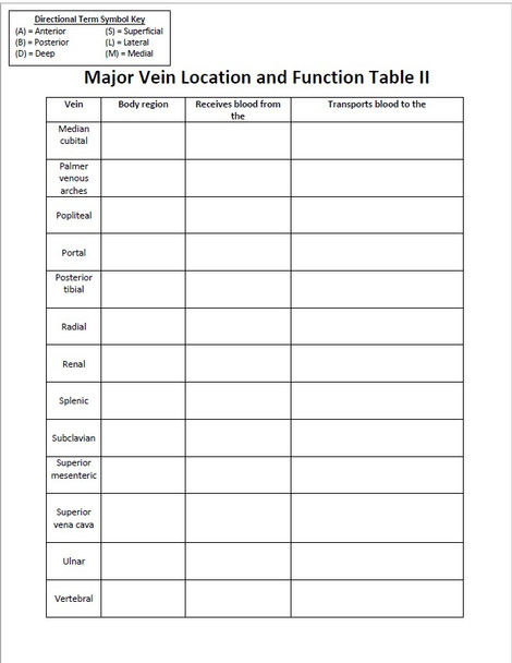 Systemic Vein Location and Function Table Set - Cardiovascular System