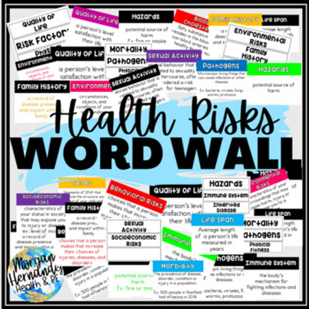 Health Risks Word Wall 