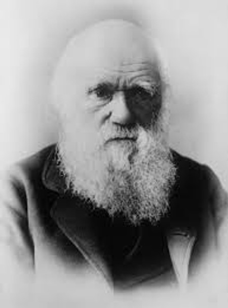 Understanding Evolution Guided Notes (Micro, Macroevolution & Charles Darwin)