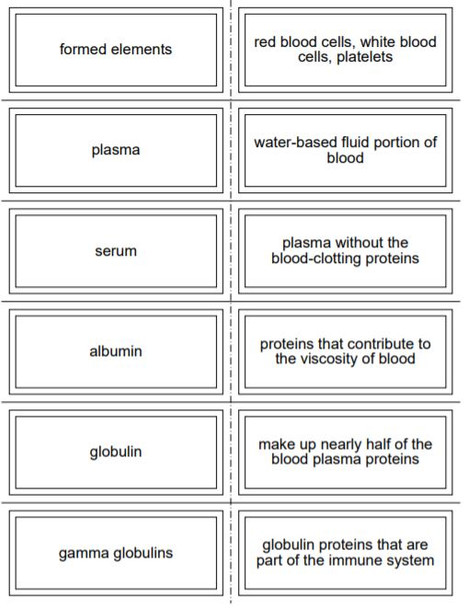 Blood Flash Cards for Honors Anatomy
