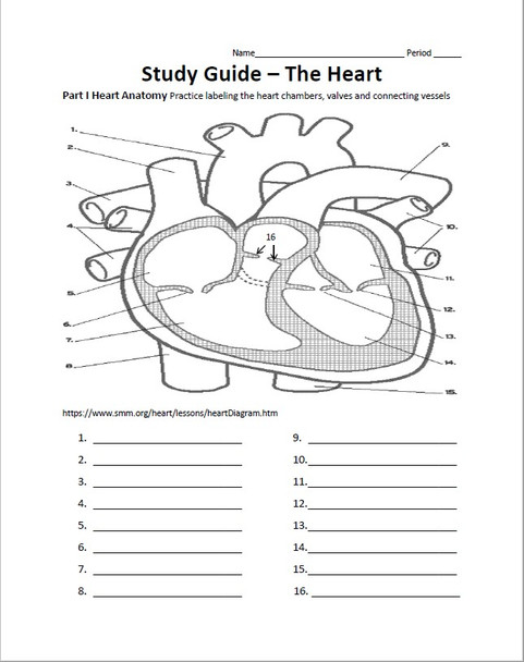 Heart Unit Study Guide for Human Anatomy and Physiology