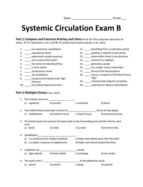Systemic Circulation Exam B Cardiovascular System