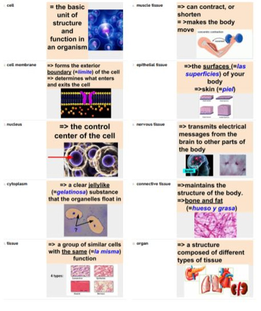 Biology Dictionary