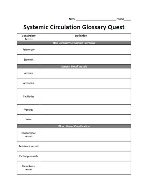 Systemic Circulation Glossary Quest Activity