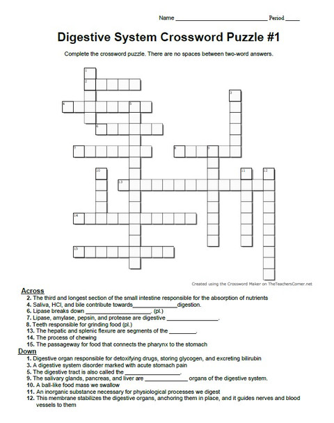 Digestive System Crossword Puzzle Set of Four