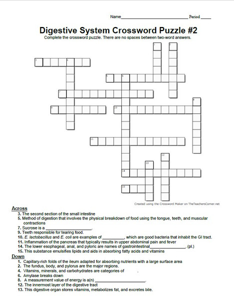 Digestive System Crossword Puzzle Set of Four