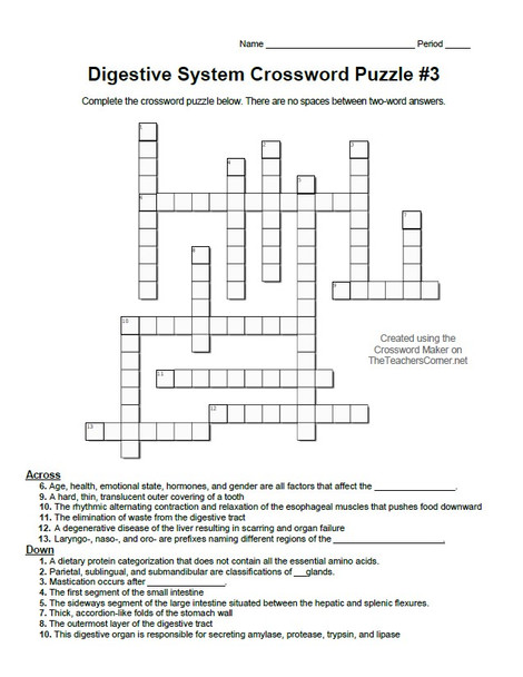 Digestive System Crossword Puzzle Set of Four