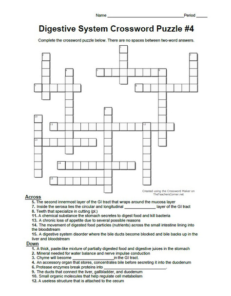 Digestive System Crossword Puzzle Set of Four
