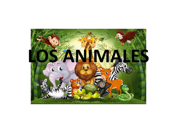 Animals in Spanish