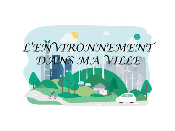 THE ENVIRONMENT IN YOUR TOWN