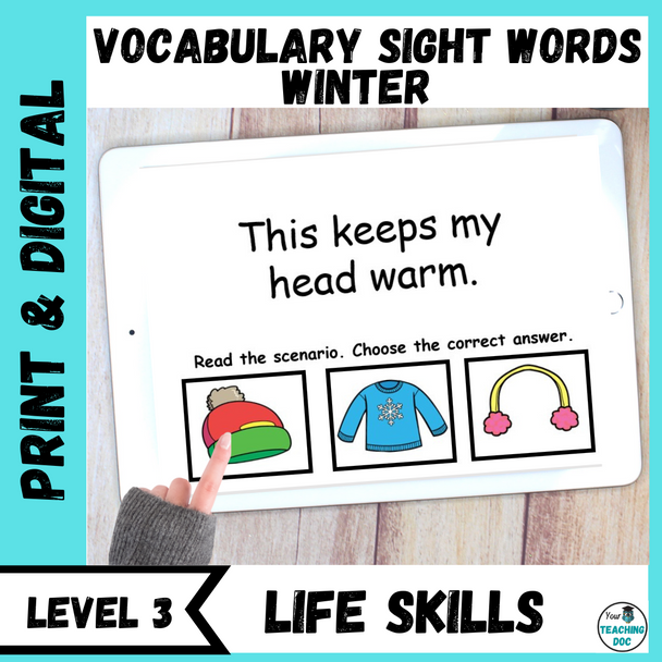 Winter Functional Vocabulary Sight Word Unit Level 3 w/ Task Cards