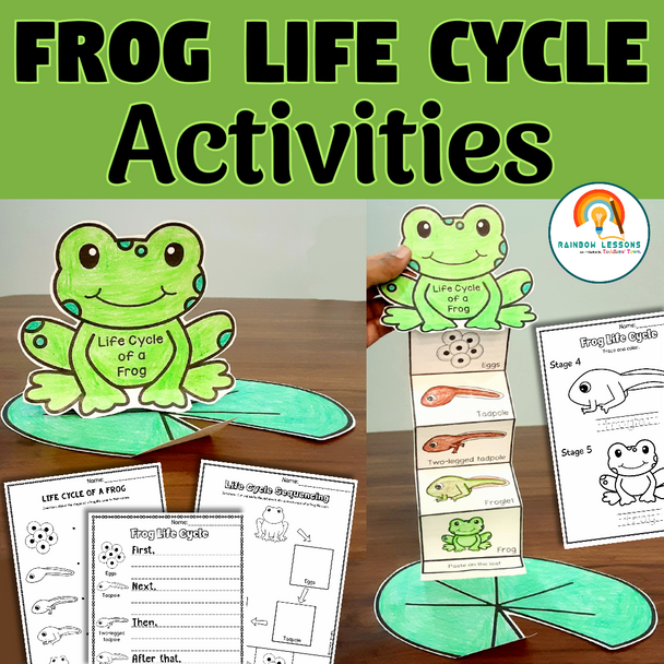 Life Cycle Of Frog Activities | Frog Life Cycle Craft | Kindergarten Science | Science Projects