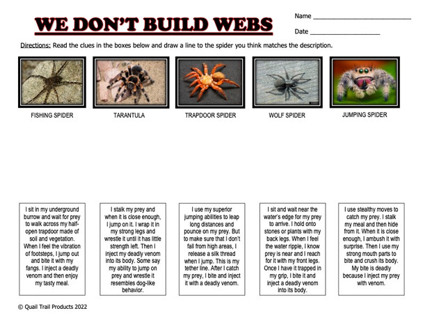 Spider Web Thematic Unit  Worksheets and Activities