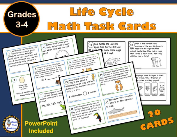 Life Cycle Math Task Cards and PowerPoint