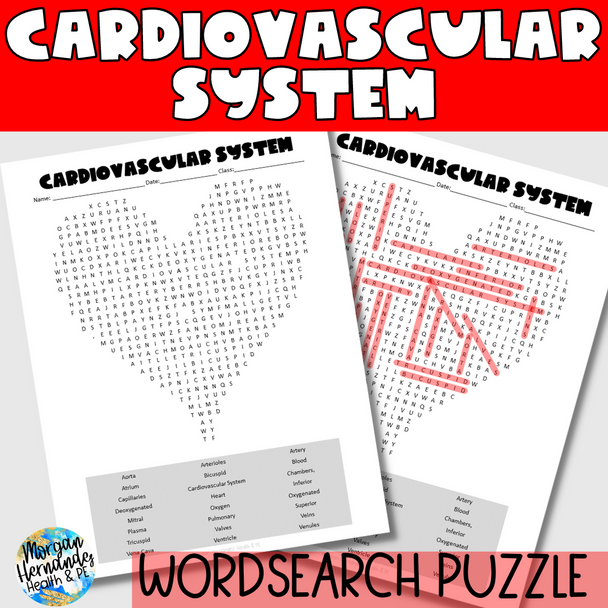 Cardiovascular System Word Search Puzzle