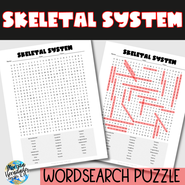 Skeletal System Word Search 