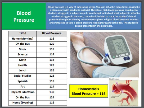 Homeostasis: Are you Feeling a little Loopy?