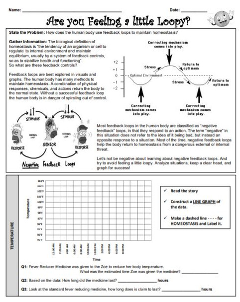 Homeostasis: Are you Feeling a little Loopy?