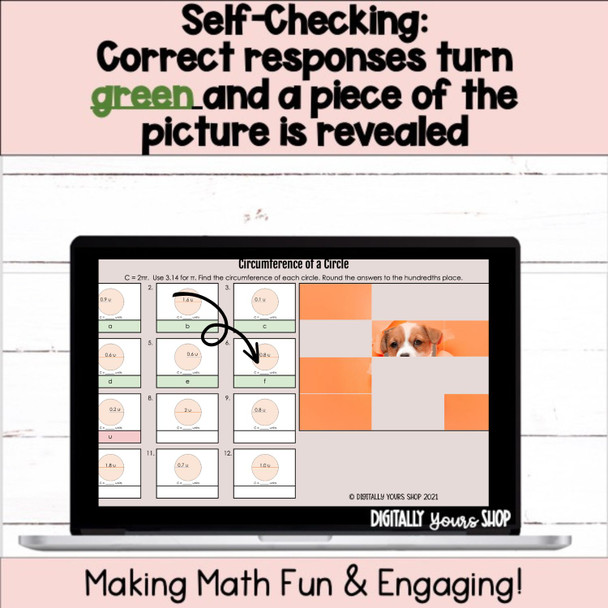 Circumference of Circles Digital Self-Checking Activity