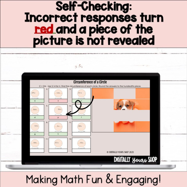 Circumference of Circles Digital Self-Checking Activity