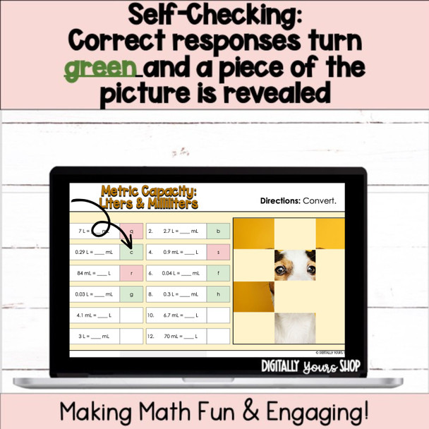 Change - Convert - Metric Capacity Digital Self-Checking Math Activity