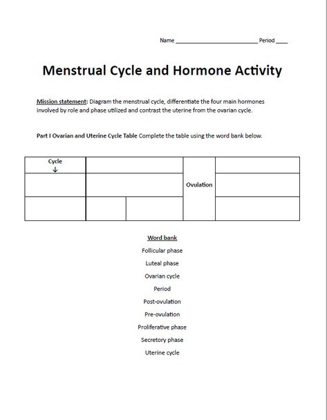 Menstrual Cycle and Hormone Activity