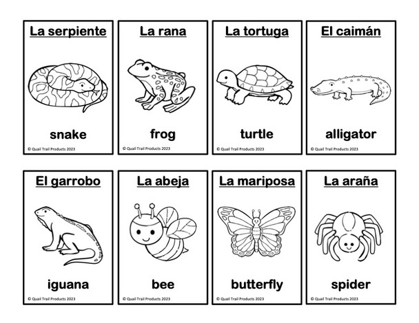 Spanish Flash Cards and Task Cards - Animals