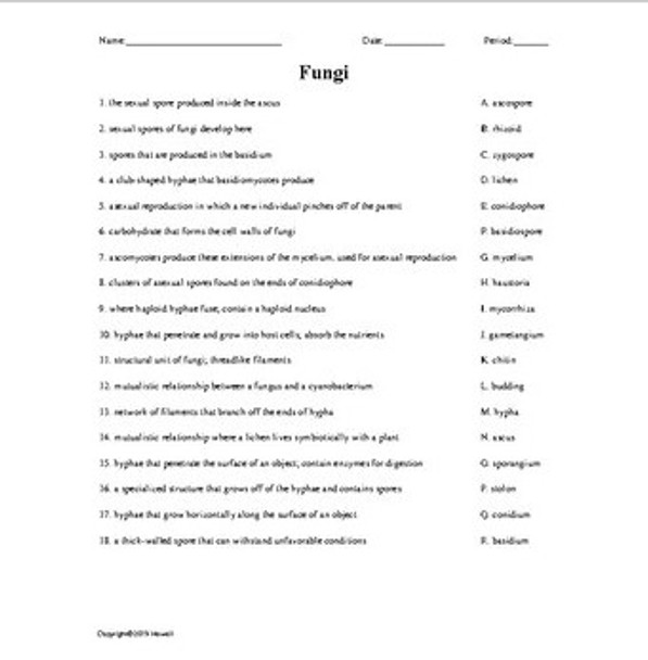 Biology II Matching Vocabulary Quiz or Worksheet Bundle