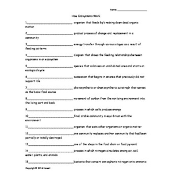 Environmental Science Vocabulary Quiz/Worksheet Bundle