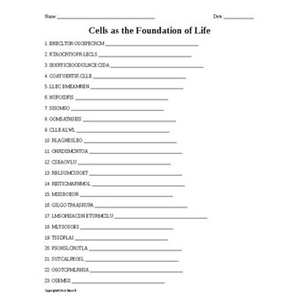 Biotechnology Vocab Word Scramble Bundle