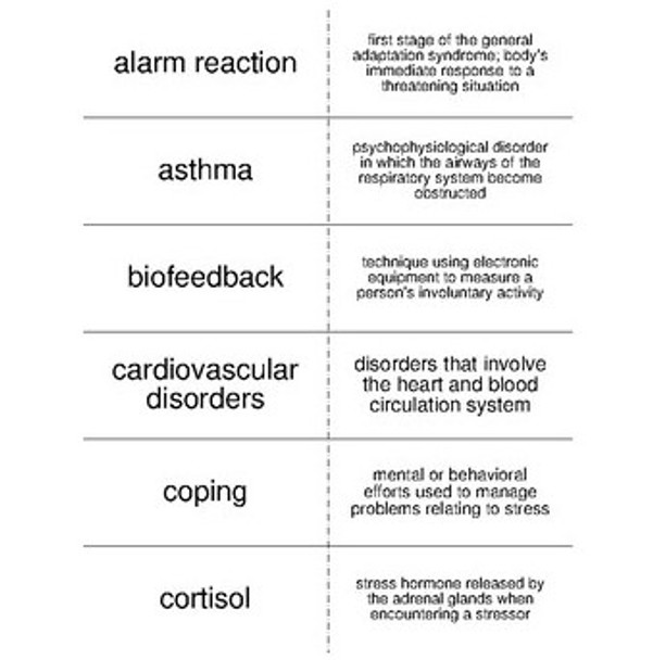 Psychology Vocabulary Review Bundle