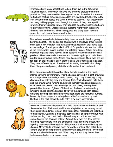 Animal Adaptations on the Savanna Activities and Worksheets