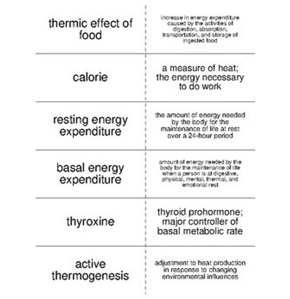 Nutrition and Health Science Vocabulary Flash Cards