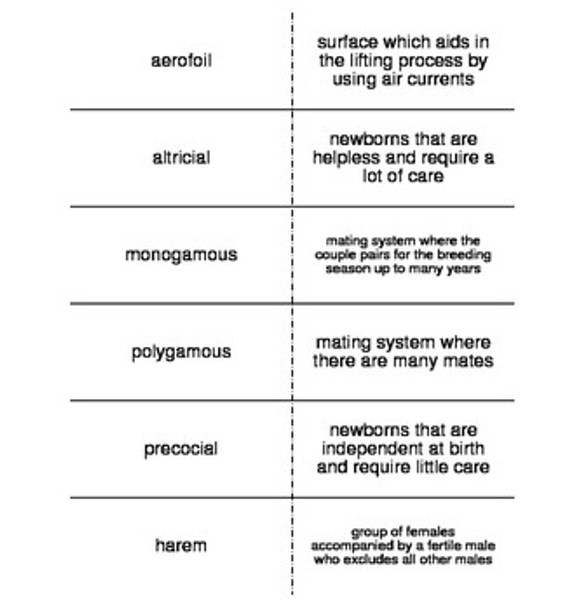 Middle School Life Science Vocabulary Review Flash Cards Bundle