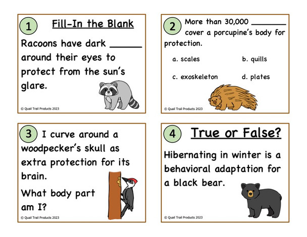 Animal Adaptations in the Woodland Habitat Activities and Worksheets