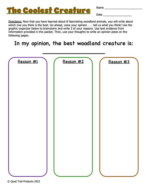 Animal Adaptations in the Woodland Habitat Activities and Worksheets