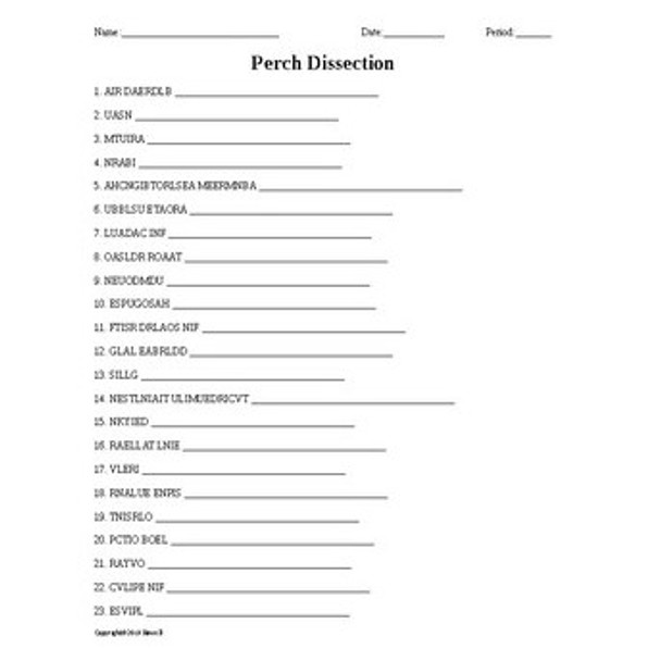 Dissection Word Scramble Bundle