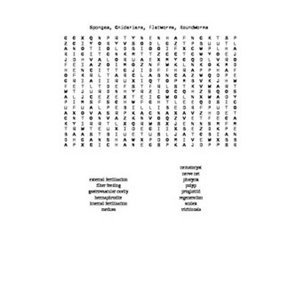 Biology Vocabulary Word Searches Bundle