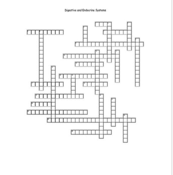 Biology II Vocabulary Crosswords Bundle