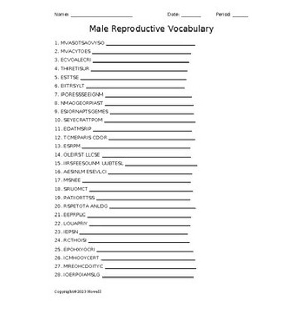 Male Reproductive System Word Scramble for a Medical Terminology Course