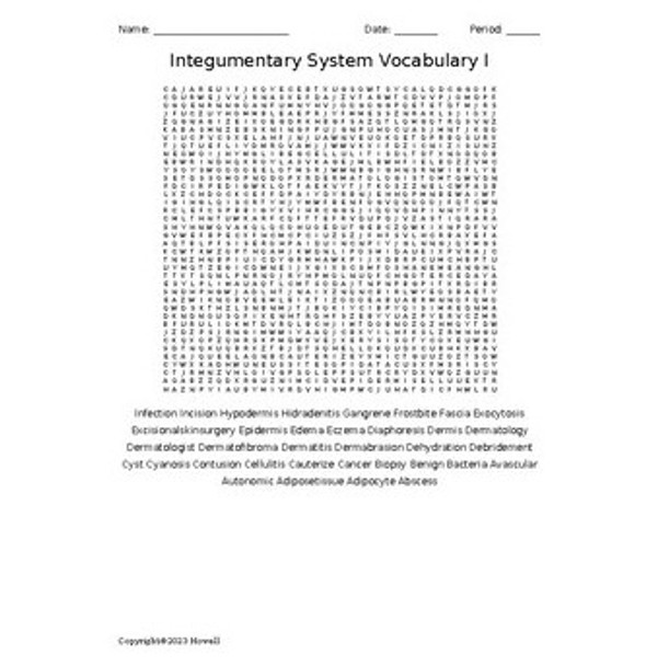 Integumentary System Vocabulary I Word Search for Medical Terminology